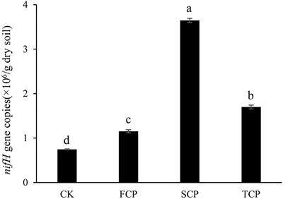 nifH Gene Sequencing Reveals the Effects of Successive Monoculture on the Soil Diazotrophic Microbial Community in Casuarina equisetifolia Plantations